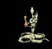 The Cavolon Species